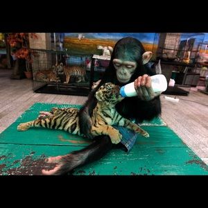 Meet your Posher, Francisco